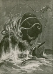 Kraken versus Sperm Whale